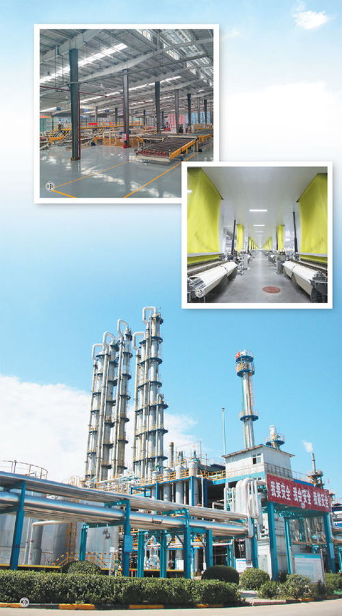 綠色轉型賦能產業(yè)新生 以技術推廣深入推進新型工業(yè)化的深度觀察